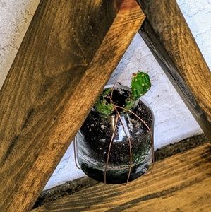 Triangle plant holder